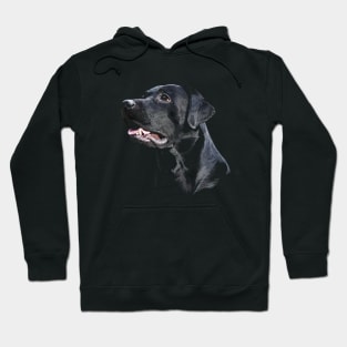 Labrador Hoodie